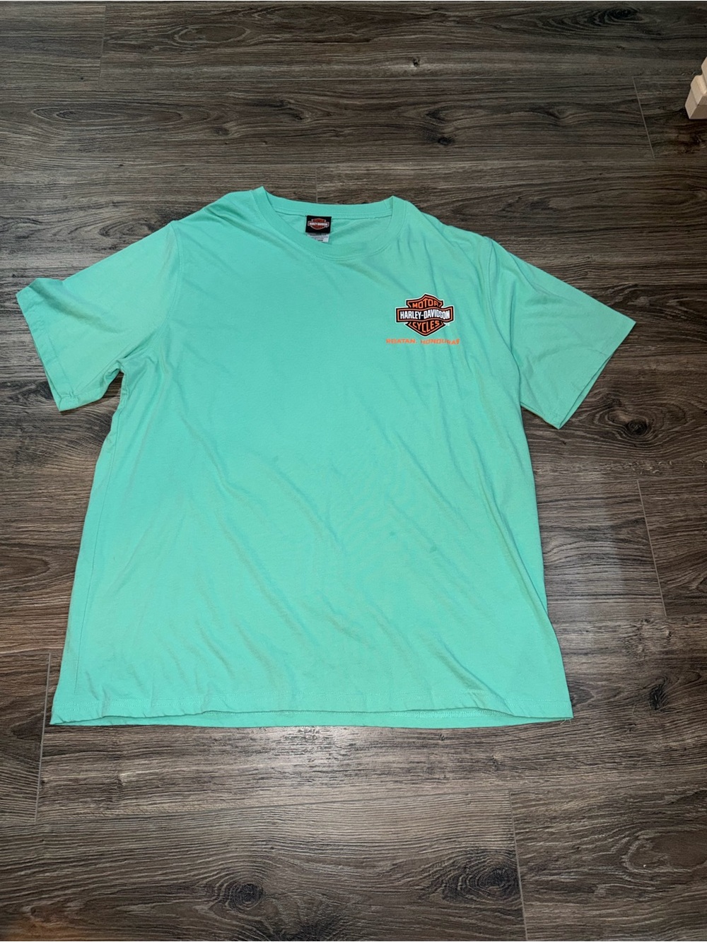 🏍️Harley-Davidson men’s Mint Green Short Sleeve Logo Tee size XXL